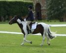 Image 32 in HOUGHTON INTERNATIONAL. UNAFFILIATED DRESSAGE 2014