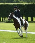 Image 33 in HOUGHTON INTERNATIONAL. UNAFFILIATED DRESSAGE 2014