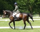 Image 35 in HOUGHTON  INTERNATIONAL. UNAFFILIATED DRESSAGE 2014
