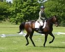 Image 37 in HOUGHTON  INTERNATIONAL. UNAFFILIATED DRESSAGE 2014