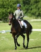 Image 38 in HOUGHTON  INTERNATIONAL. UNAFFILIATED DRESSAGE 2014