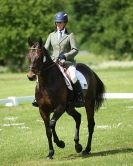 Image 38 in HOUGHTON INTERNATIONAL. UNAFFILIATED DRESSAGE 2014