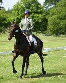 Image 39 in HOUGHTON  INTERNATIONAL. UNAFFILIATED DRESSAGE 2014