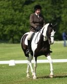 Image 41 in HOUGHTON  INTERNATIONAL. UNAFFILIATED DRESSAGE 2014