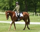 Image 42 in HOUGHTON  INTERNATIONAL. UNAFFILIATED DRESSAGE 2014
