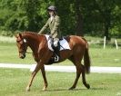Image 42 in HOUGHTON INTERNATIONAL. UNAFFILIATED DRESSAGE 2014