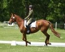 Image 43 in HOUGHTON  INTERNATIONAL. UNAFFILIATED DRESSAGE 2014