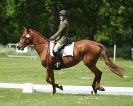 Image 43 in HOUGHTON INTERNATIONAL. UNAFFILIATED DRESSAGE 2014