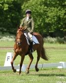 Image 44 in HOUGHTON  INTERNATIONAL. UNAFFILIATED DRESSAGE 2014