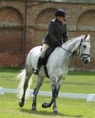 Image 48 in HOUGHTON  INTERNATIONAL. UNAFFILIATED DRESSAGE 2014