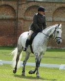 Image 48 in HOUGHTON INTERNATIONAL. UNAFFILIATED DRESSAGE 2014