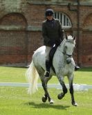Image 50 in HOUGHTON  INTERNATIONAL. UNAFFILIATED DRESSAGE 2014
