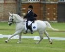 Image 51 in HOUGHTON INTERNATIONAL. UNAFFILIATED DRESSAGE 2014