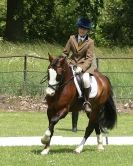 Image 53 in HOUGHTON  INTERNATIONAL. UNAFFILIATED DRESSAGE 2014