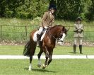 Image 54 in HOUGHTON  INTERNATIONAL. UNAFFILIATED DRESSAGE 2014