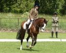 Image 54 in HOUGHTON INTERNATIONAL. UNAFFILIATED DRESSAGE 2014
