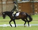 Image 56 in HOUGHTON  INTERNATIONAL. UNAFFILIATED DRESSAGE 2014