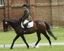 Image 57 in HOUGHTON  INTERNATIONAL. UNAFFILIATED DRESSAGE 2014