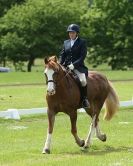 Image 59 in HOUGHTON  INTERNATIONAL. UNAFFILIATED DRESSAGE 2014