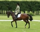 Image 6 in HOUGHTON INTERNATIONAL. UNAFFILIATED DRESSAGE 2014