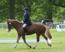 Image 60 in HOUGHTON  INTERNATIONAL. UNAFFILIATED DRESSAGE 2014