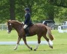 Image 60 in HOUGHTON INTERNATIONAL. UNAFFILIATED DRESSAGE 2014