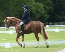 Image 61 in HOUGHTON  INTERNATIONAL. UNAFFILIATED DRESSAGE 2014