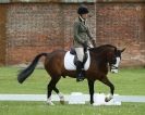 Image 62 in HOUGHTON  INTERNATIONAL. UNAFFILIATED DRESSAGE 2014