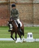 Image 63 in HOUGHTON  INTERNATIONAL. UNAFFILIATED DRESSAGE 2014