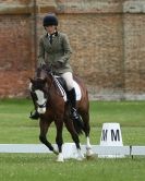 Image 63 in HOUGHTON INTERNATIONAL. UNAFFILIATED DRESSAGE 2014