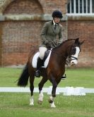 Image 64 in HOUGHTON  INTERNATIONAL. UNAFFILIATED DRESSAGE 2014