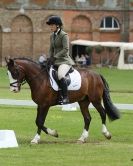 Image 65 in HOUGHTON  INTERNATIONAL. UNAFFILIATED DRESSAGE 2014