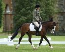 Image 66 in HOUGHTON  INTERNATIONAL. UNAFFILIATED DRESSAGE 2014