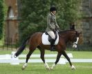 Image 66 in HOUGHTON INTERNATIONAL. UNAFFILIATED DRESSAGE 2014