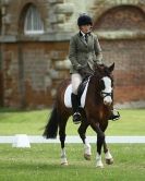 Image 67 in HOUGHTON  INTERNATIONAL. UNAFFILIATED DRESSAGE 2014
