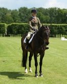 Image 68 in HOUGHTON  INTERNATIONAL. UNAFFILIATED DRESSAGE 2014