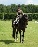 Image 68 in HOUGHTON INTERNATIONAL. UNAFFILIATED DRESSAGE 2014