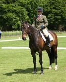 Image 69 in HOUGHTON  INTERNATIONAL. UNAFFILIATED DRESSAGE 2014