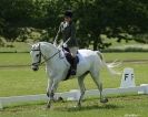 Image 71 in HOUGHTON INTERNATIONAL. UNAFFILIATED DRESSAGE 2014
