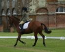 Image 73 in HOUGHTON  INTERNATIONAL. UNAFFILIATED DRESSAGE 2014