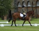 Image 74 in HOUGHTON  INTERNATIONAL. UNAFFILIATED DRESSAGE 2014