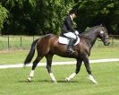 Image 77 in HOUGHTON  INTERNATIONAL. UNAFFILIATED DRESSAGE 2014