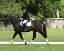 Image 79 in HOUGHTON  INTERNATIONAL. UNAFFILIATED DRESSAGE 2014