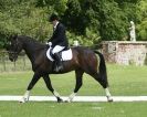 Image 79 in HOUGHTON INTERNATIONAL. UNAFFILIATED DRESSAGE 2014