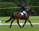 Image 80 in HOUGHTON  INTERNATIONAL. UNAFFILIATED DRESSAGE 2014