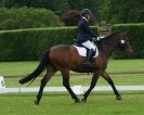 Image 80 in HOUGHTON INTERNATIONAL. UNAFFILIATED DRESSAGE 2014