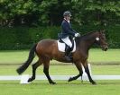 Image 81 in HOUGHTON  INTERNATIONAL. UNAFFILIATED DRESSAGE 2014