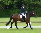 Image 81 in HOUGHTON INTERNATIONAL. UNAFFILIATED DRESSAGE 2014