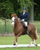 Image 84 in HOUGHTON  INTERNATIONAL. UNAFFILIATED DRESSAGE 2014