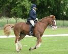 Image 85 in HOUGHTON  INTERNATIONAL. UNAFFILIATED DRESSAGE 2014